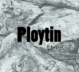 PLOYTIN(플로이틴)