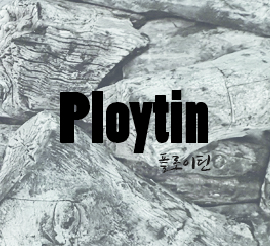 PLOYTIN