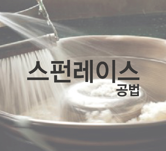 스펀레이스 공법